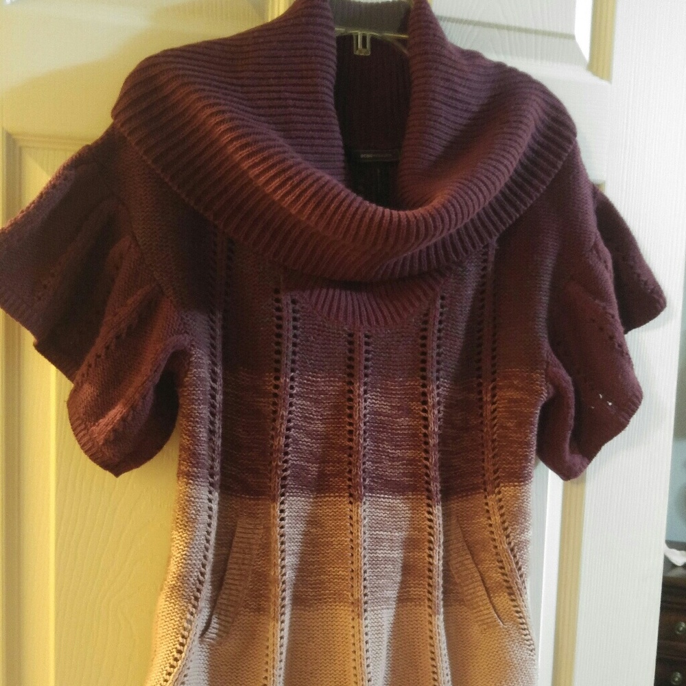 BCBGMaxAzria Burgandy and pink sweater